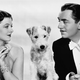 Illustration for article titled In most of the iThin Man/i films, Nick and Nora look like cinema’s ideal couple